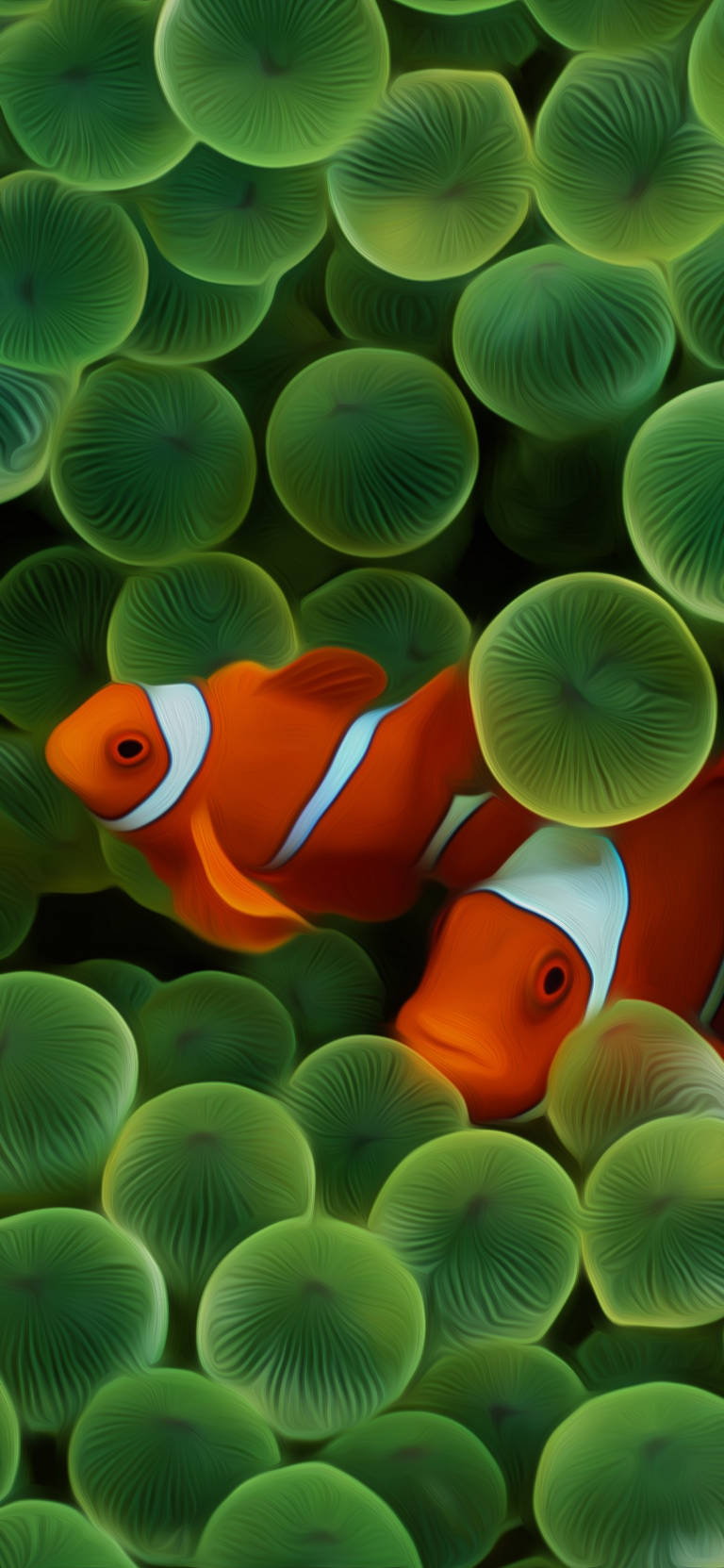 770x1670 Clownfish Original iPhone 4 Wallpaper, Phone