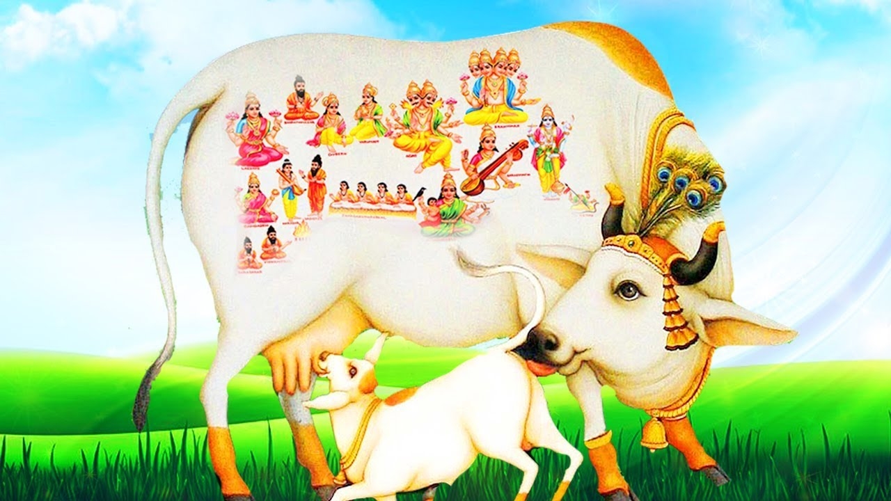 1280x720 Sri Kamdhenu Gayatri MantraGomatha, Desktop