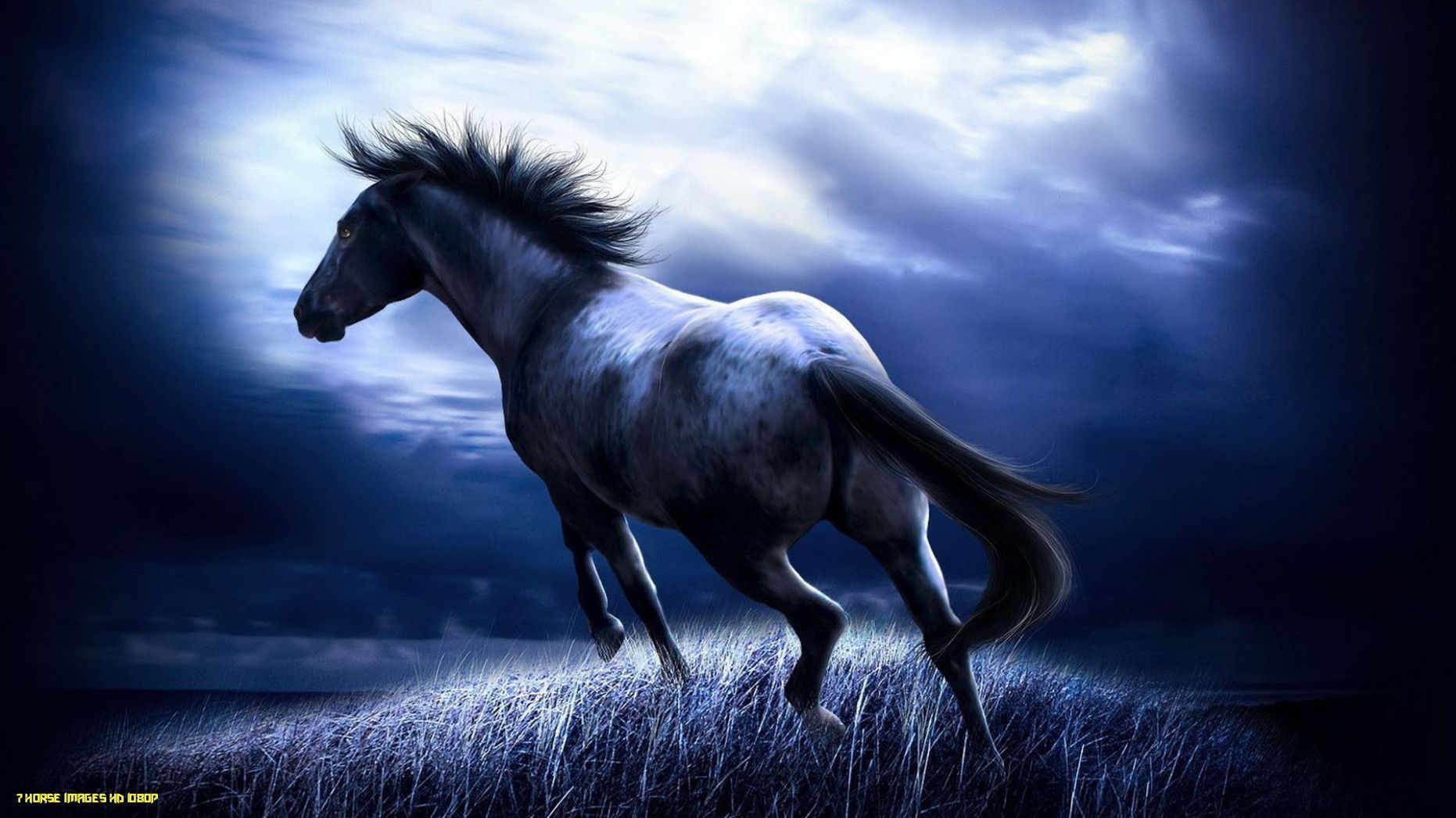 1870x1050 Horse HD Wallpaper 1920×1080, Desktop