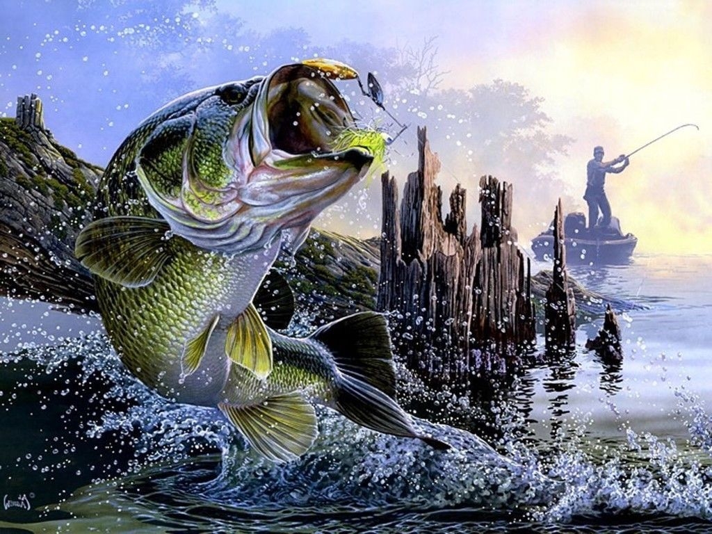 1030x770 Bass Fishing Painting HD Wallpaper, Desktop