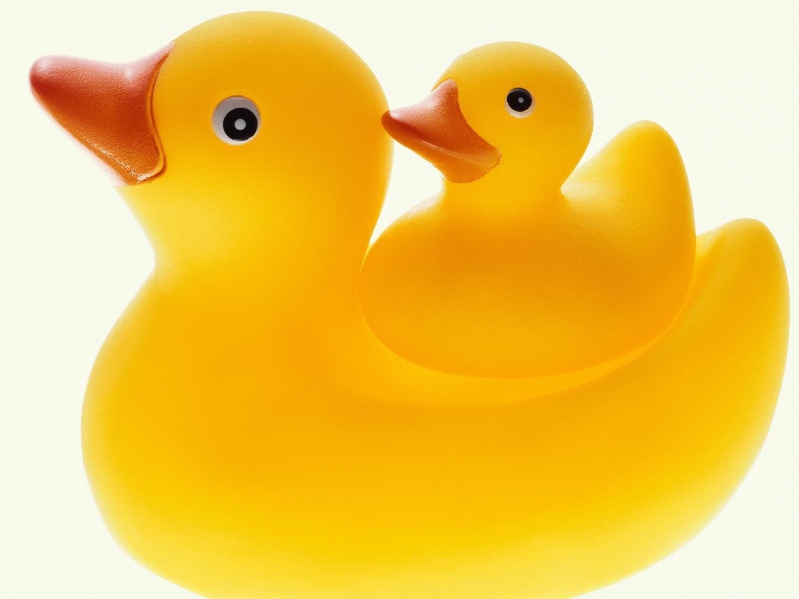 1600x1200 Download Duck Rubber Wallpaper, Desktop