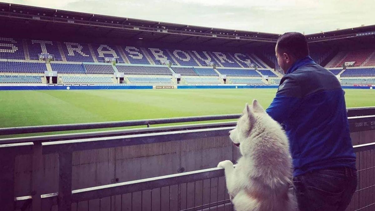 1200x680 Racing Club de Strasbourg Alsace, Hatchi un fan qui a du chien, Desktop