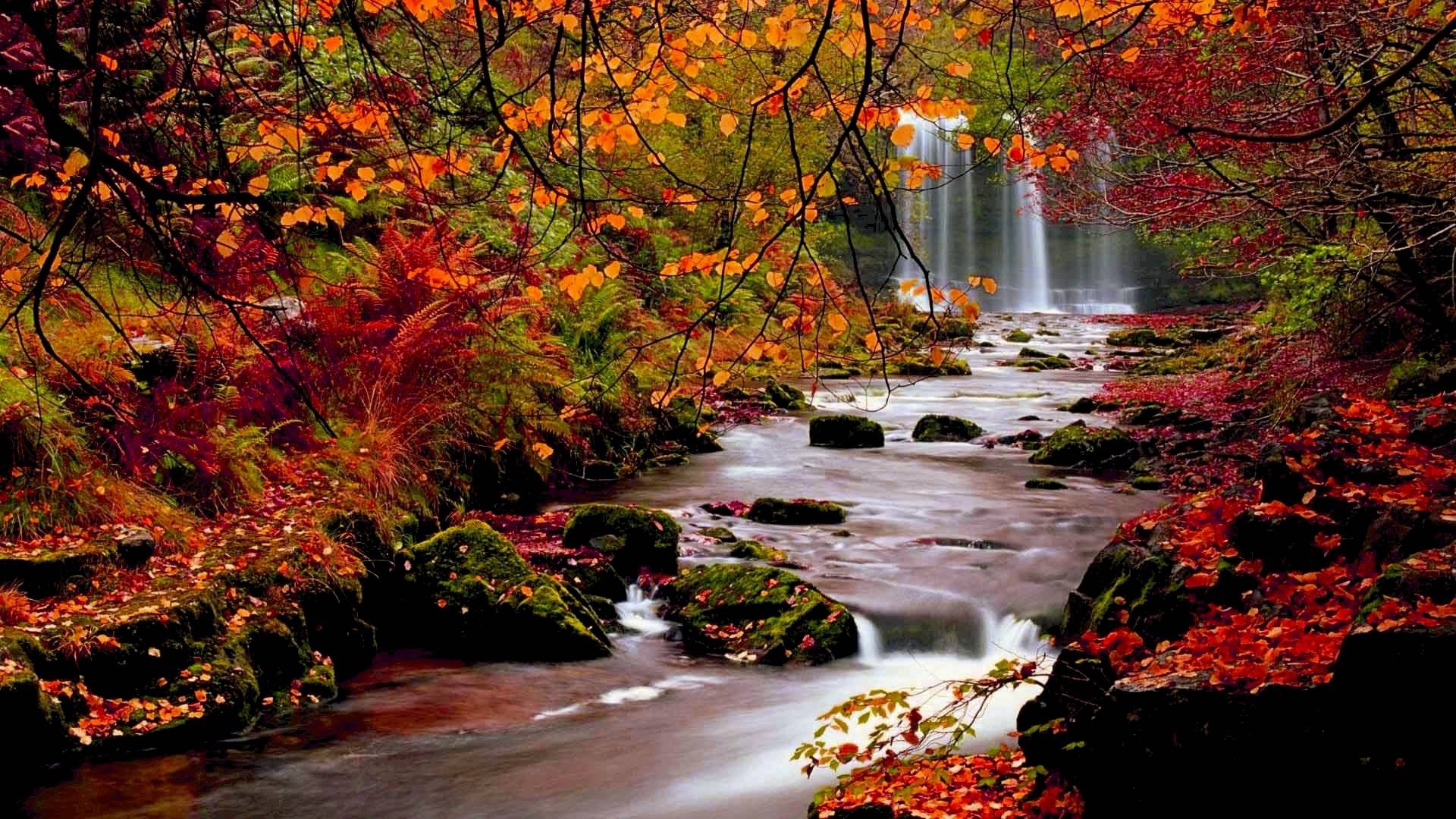 1920x1080 Fall HD Wallpaper 1080p · Fall Wallpaper HD. Best Desktop, Desktop