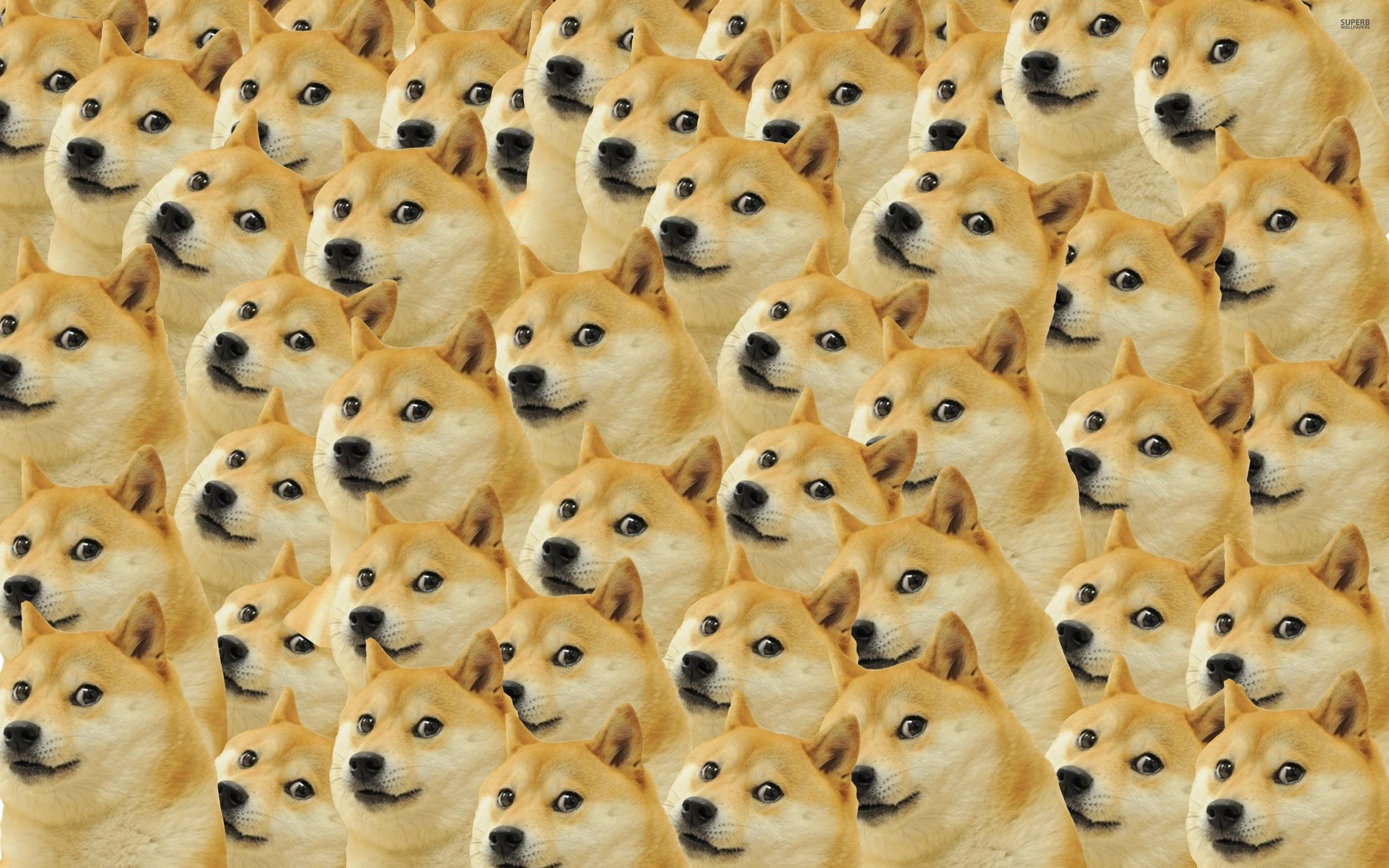 2880x1800 Doge Meme Wallpaper, Desktop