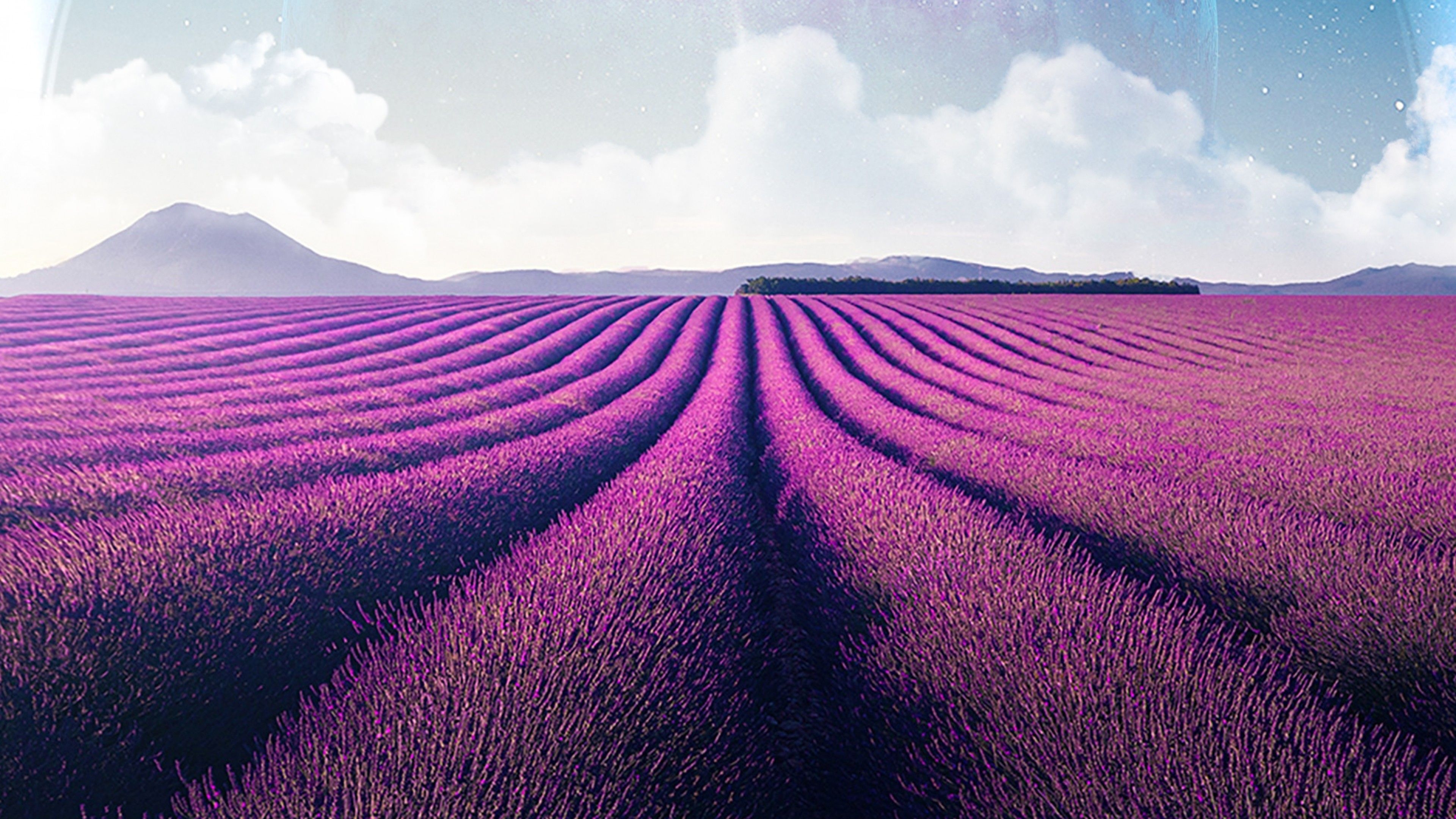 3840x2160 Lavender fields 4K Wallpaper, Lavender farm, Landscape, Planet, Surreal, Aesthetic, Nature, Desktop