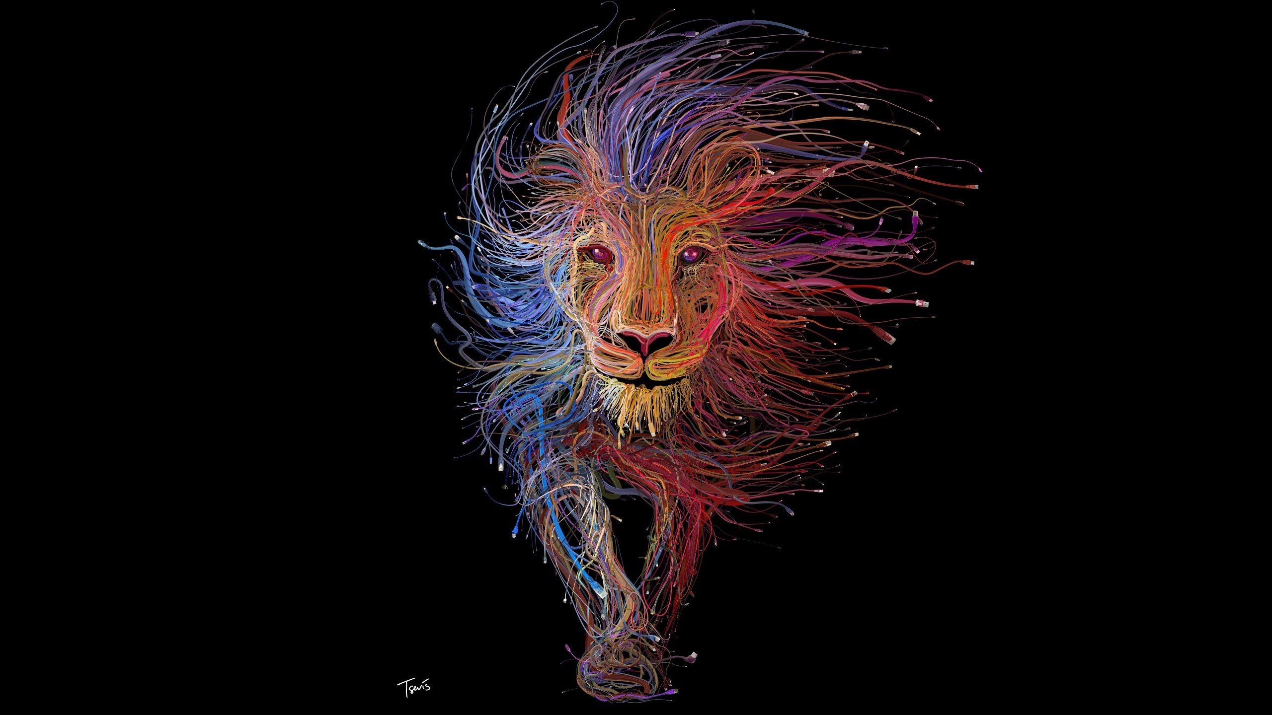 2560x1440 Lion 4K wallpaper for your desktop or mobile screen free and easy, Desktop