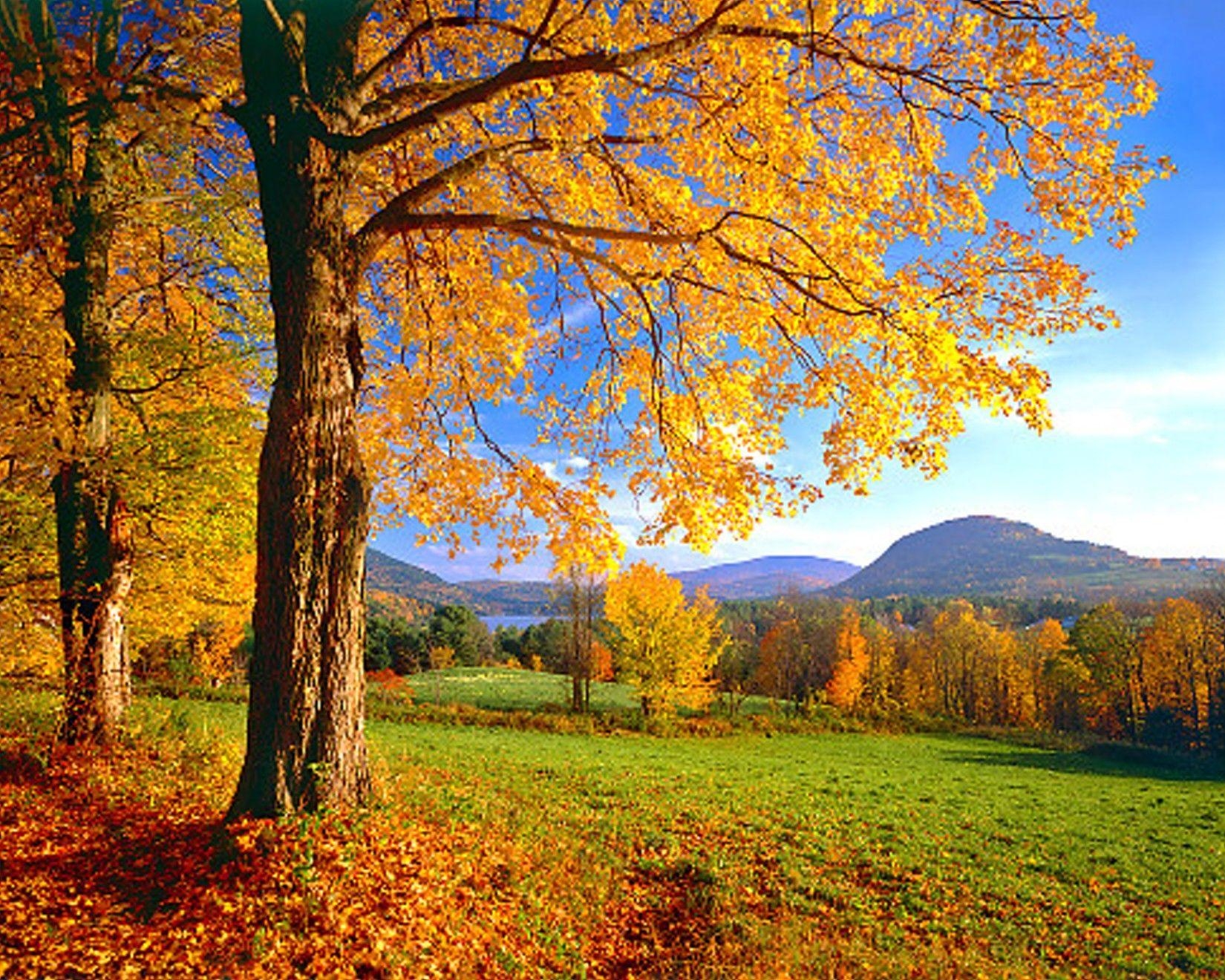 1650x1320 Fields: Colorful Vermont Fields Peaceful Wonderful Tree Amazing, Desktop