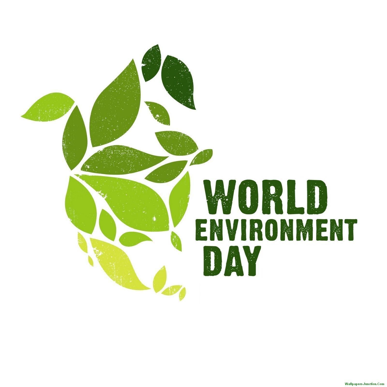 1600x1600 Environment Day Quotes, Phone