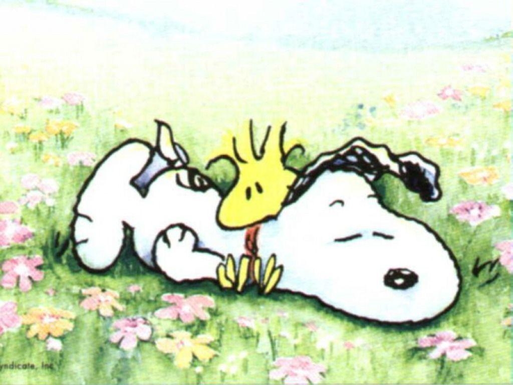 1030x770 Snoopy wallpaper, Desktop