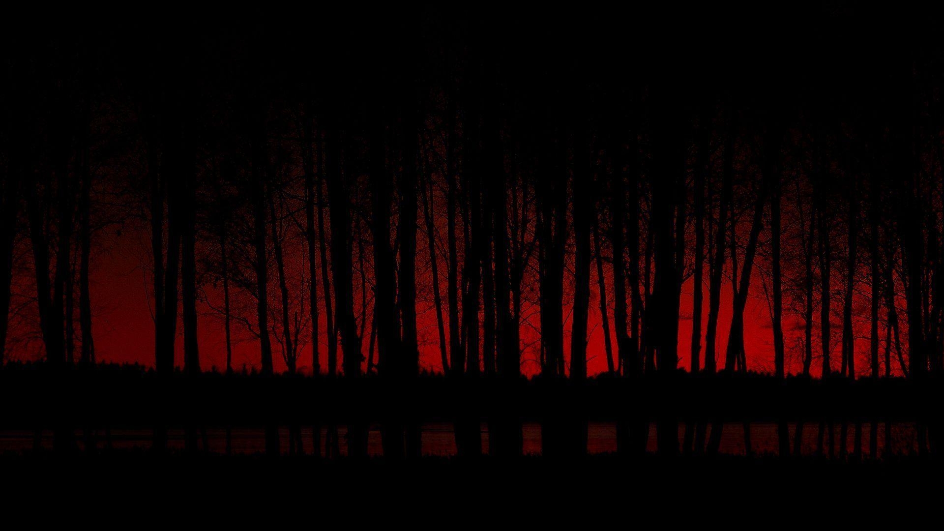 1920x1080 Dark Forest 31 392279 High Definition Wallpaper. wallalay, Desktop