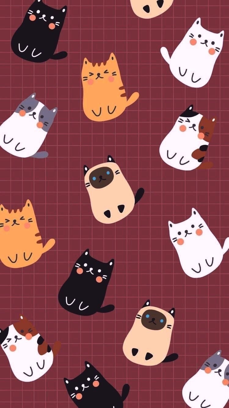 750x1340 Wallpaper. Cat phone wallpaper, Cute cat, Phone