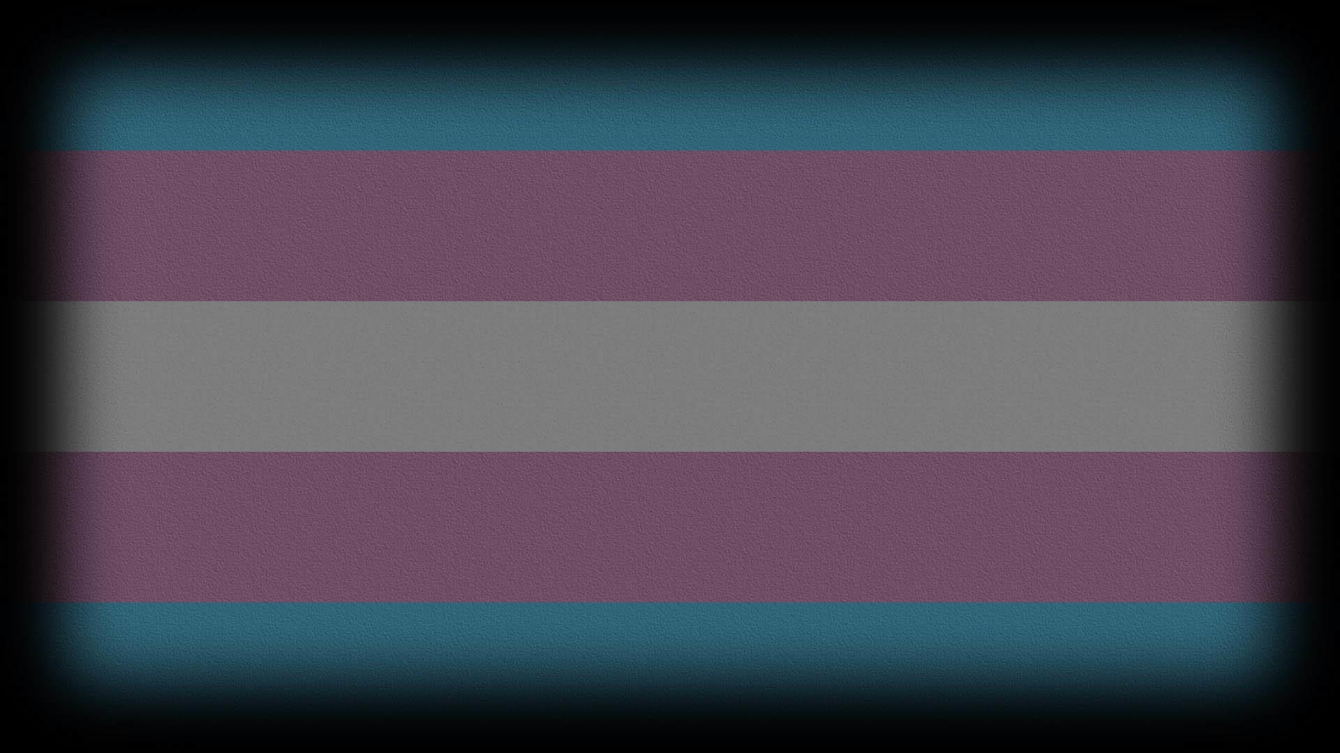 1920x1080 Transgender Pride Wallpaper, Desktop