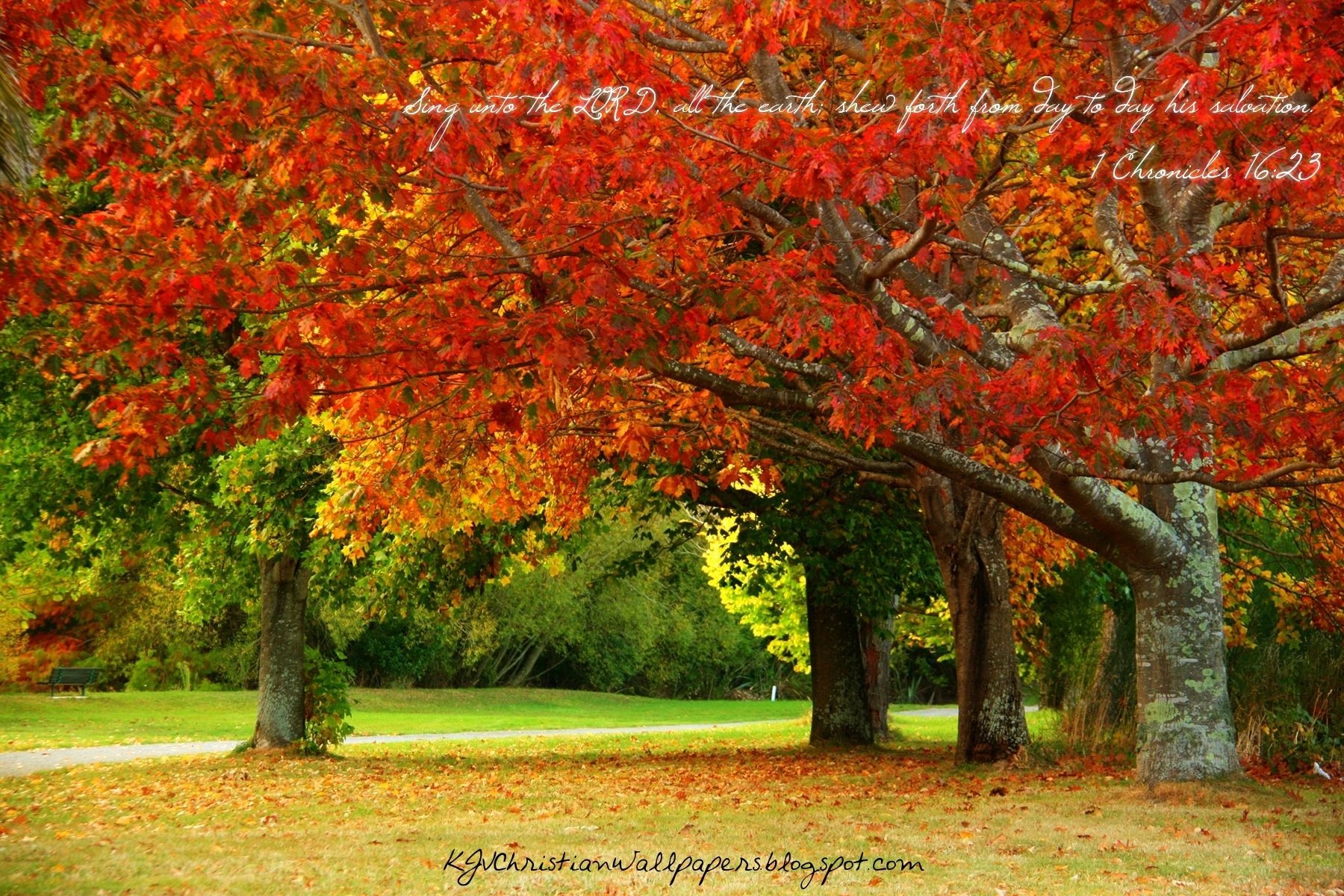 1800x1200 KJV Fall Wallpaper. Free christian wallpaper, Christian wallpaper, Wallpaper bible, Desktop