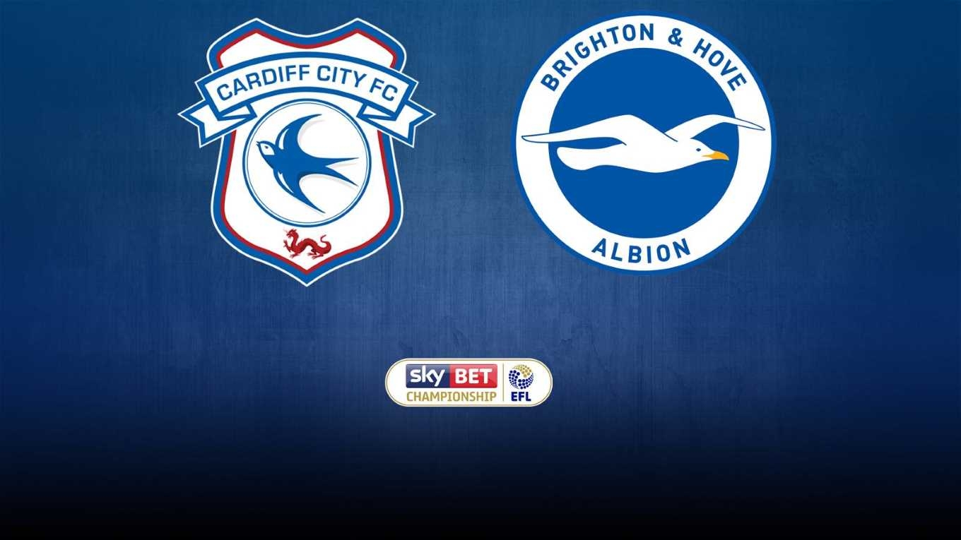 1360x770 MATCH PREVIEW. CARDIFF CITY vs BRIGHTON & HOVE ALBION, Desktop