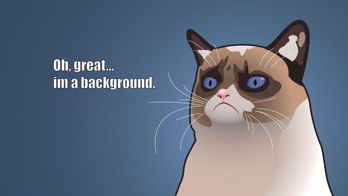 1200x680 Funny Meme Wallpaper. Grumpy cat meme, Grumpy cat cartoon, Grumpy cat humor, Desktop