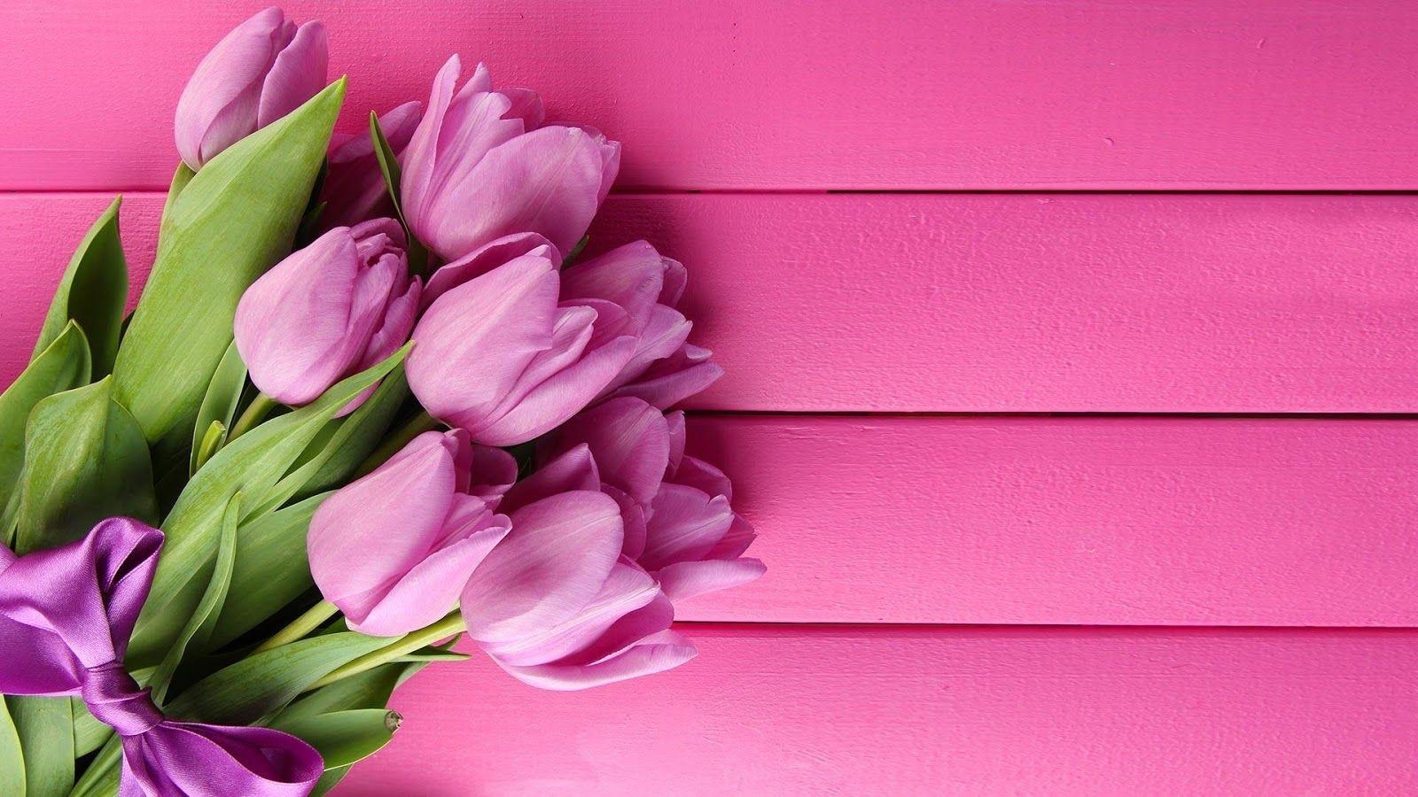 1600x900 Pink Tulips Live Wallpaper Apps on Google Play, Desktop