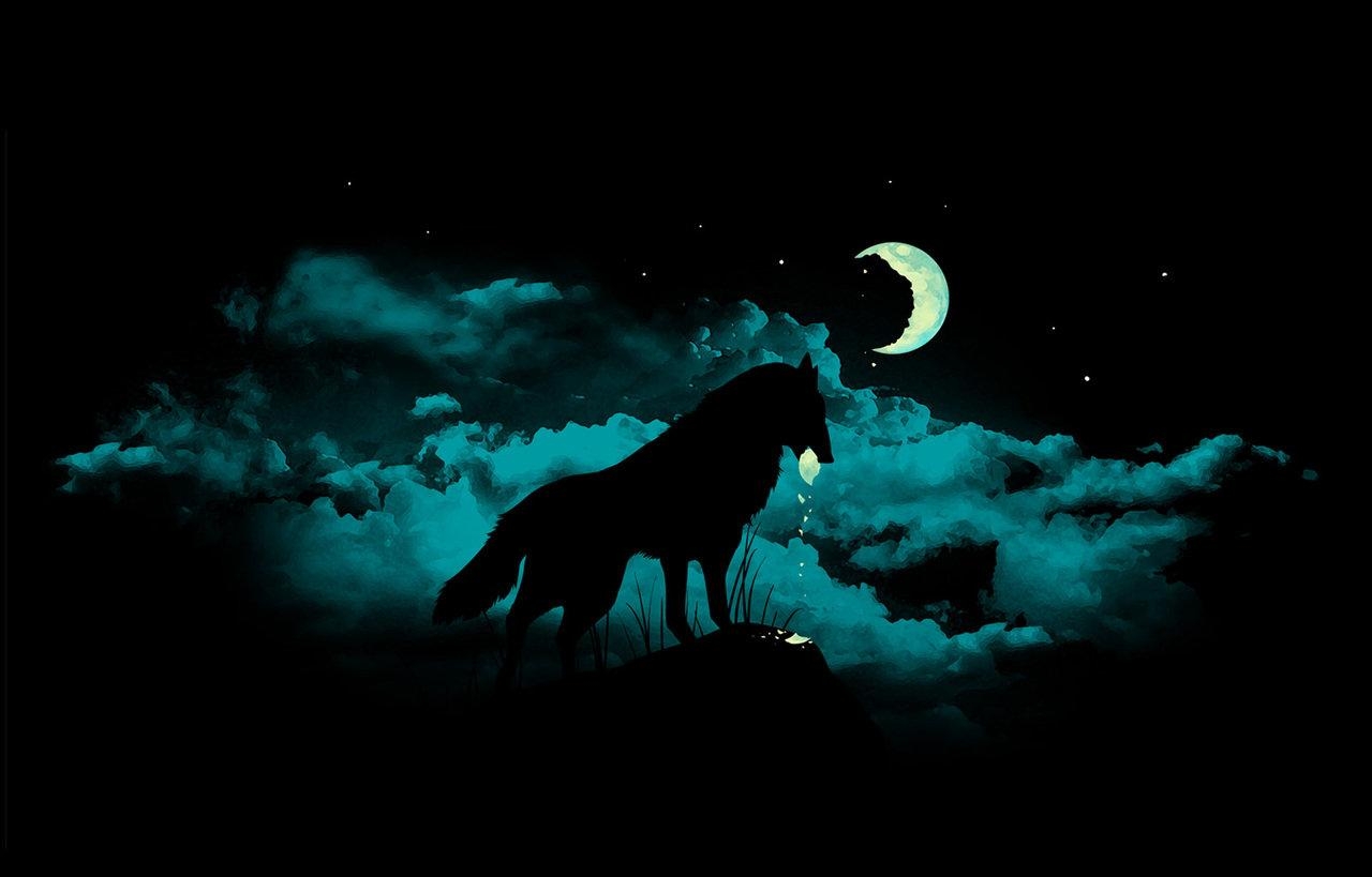 1280x820 Free download Wolf Moon Wallpaper 10639 HD Wallpaper in Animals, Desktop