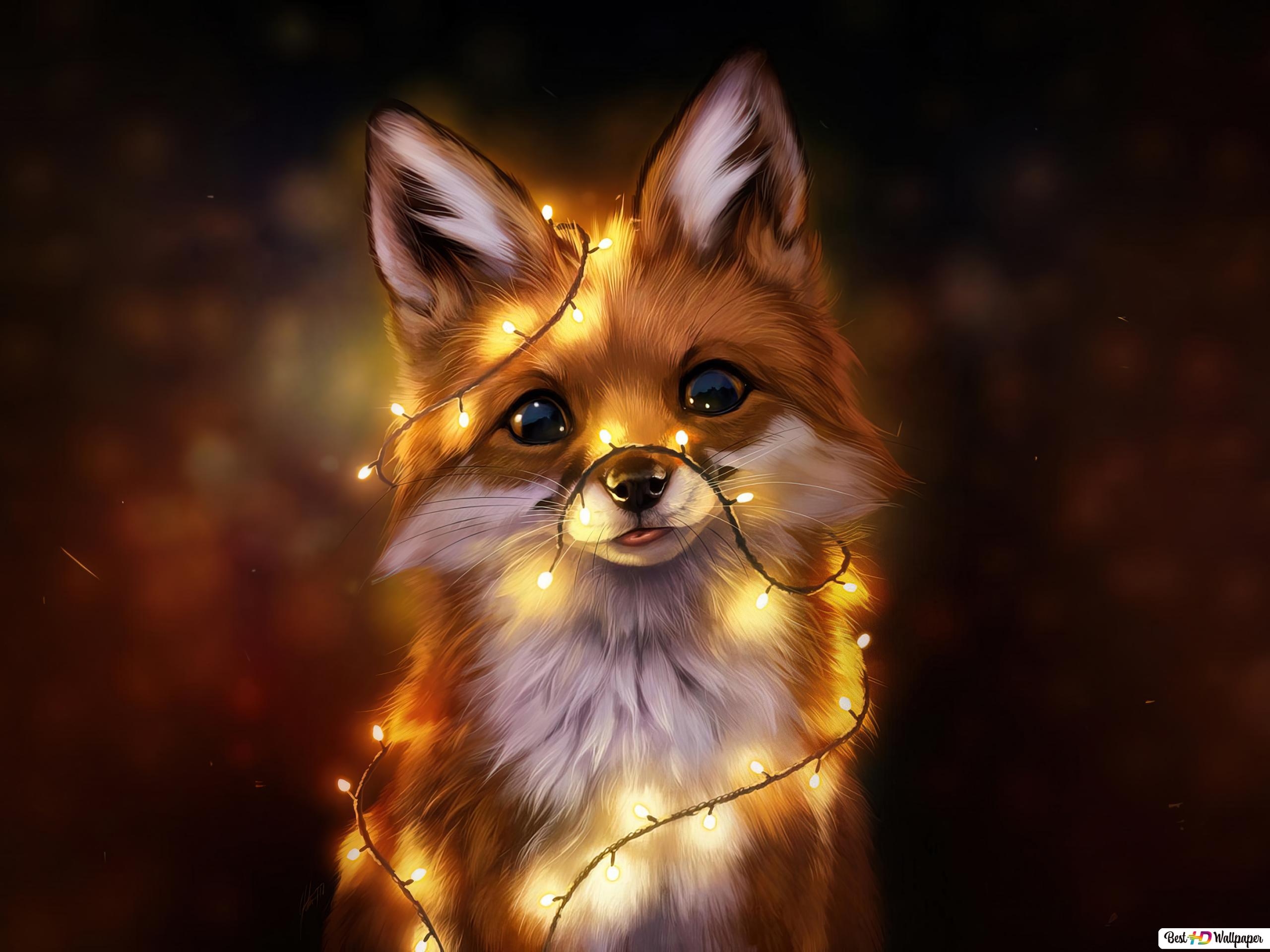 2560x1920 Cute Fox HD wallpaper download, Desktop