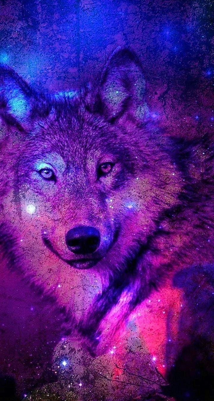 720x1350 Best Wallpaper Wolf Wallpaper.Pro, Phone