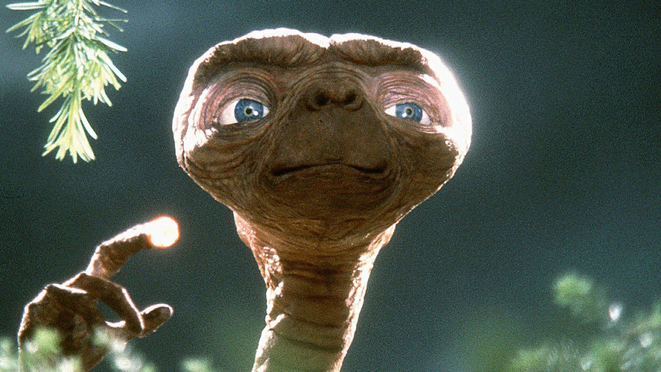 2560x1440 E.T. The Extra Terrestrial Wallpaper  Desktop Background, Desktop