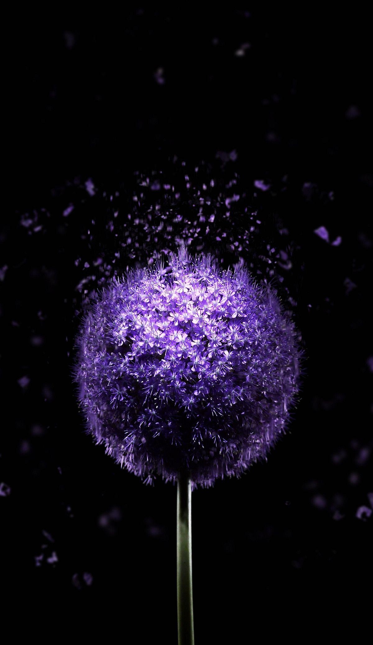 1200x2080 Violet Flower 4K AMOLED Wallpaper. Nature iphone, Phone