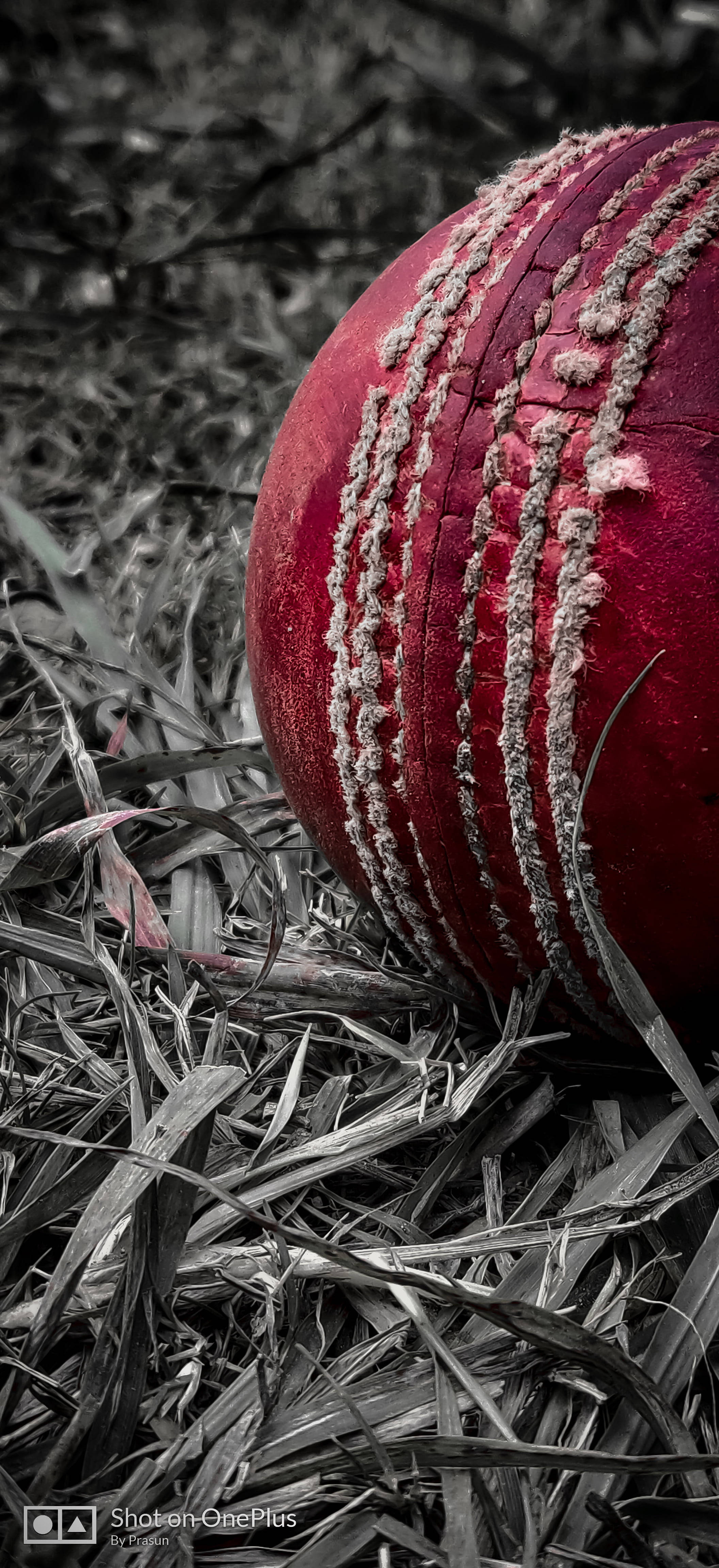 2120x4610 Download Gloomy Cricket 4K Wallpaper, Phone