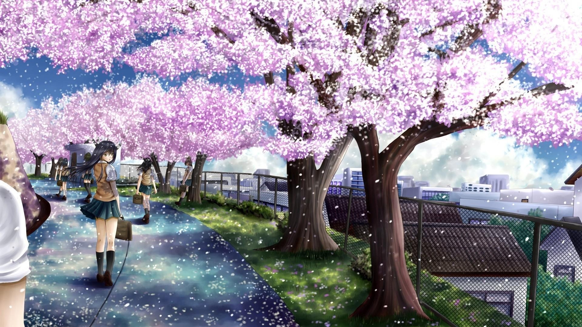 1920x1080 Anime Cherry Blossom Wallpaper, Desktop