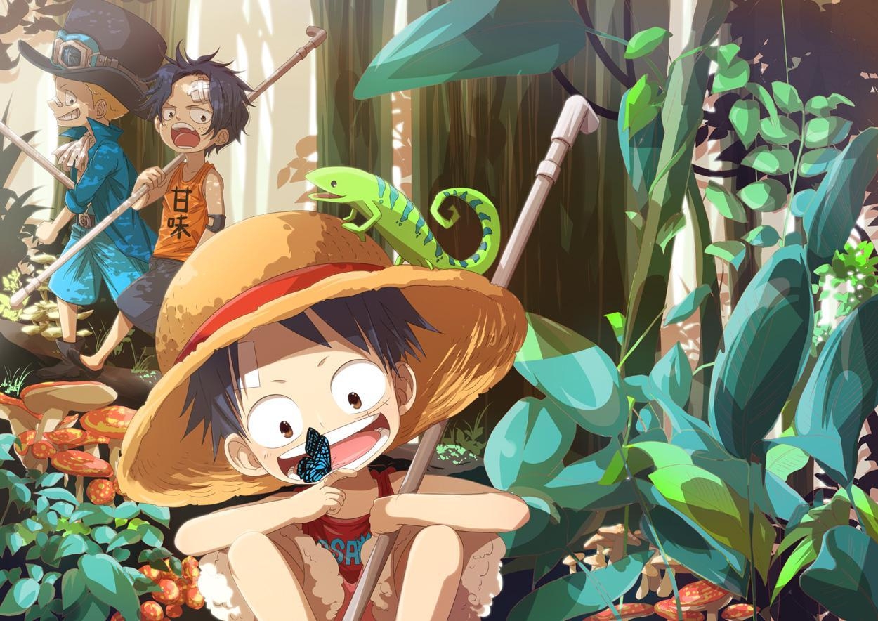 1250x890 Portgas d ace Monkey d luffy Sabo One piece HD Wallpaper, Desktop, Desktop