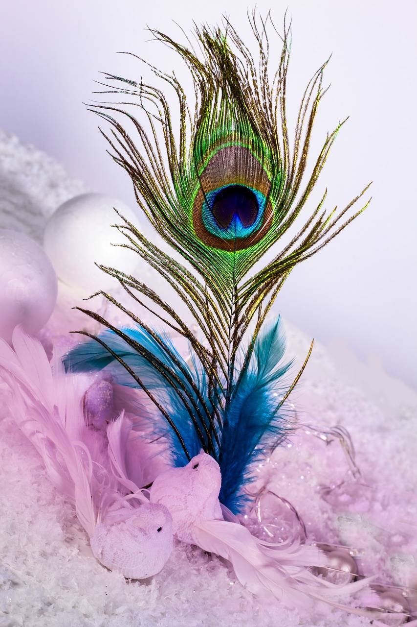 860x1280 Peacock feather Wallpaper by ZEDGE™, Phone