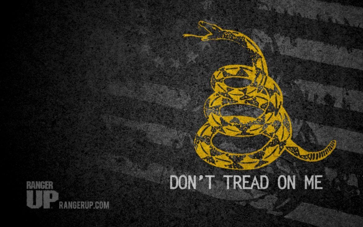 1180x740 Don T Tread On Me Wallpaper, Desktop