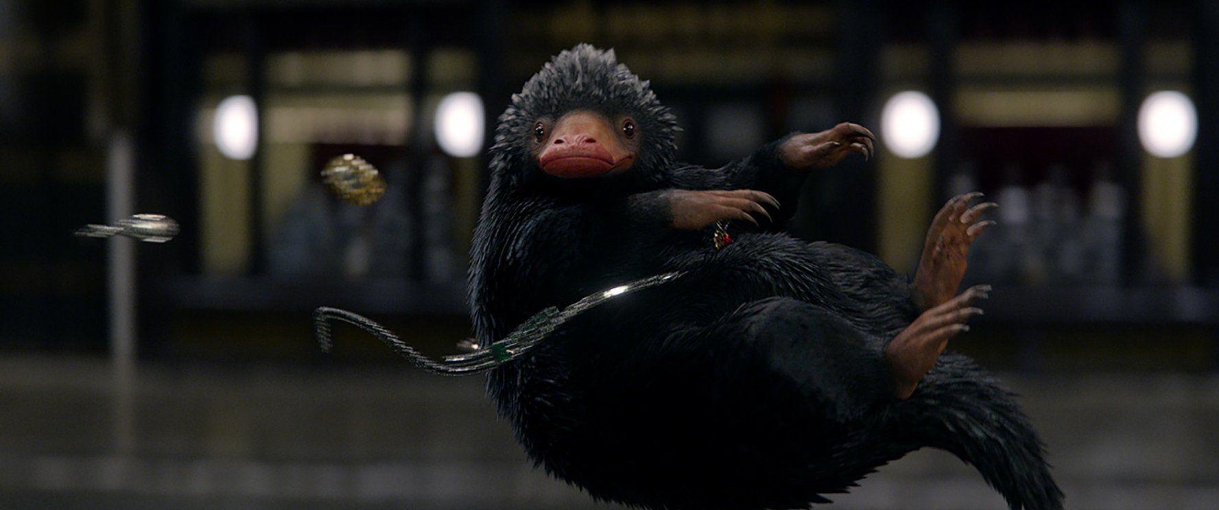 1780x750 Niffler wallpaper 2018 in Movies, Dual Screen