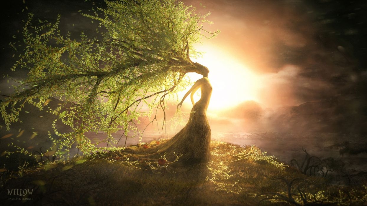 1250x700 Fantasy Art Willow Landscapes Mood Trees Sunset Sunrise Willow Tree HD Wallpaper, Desktop