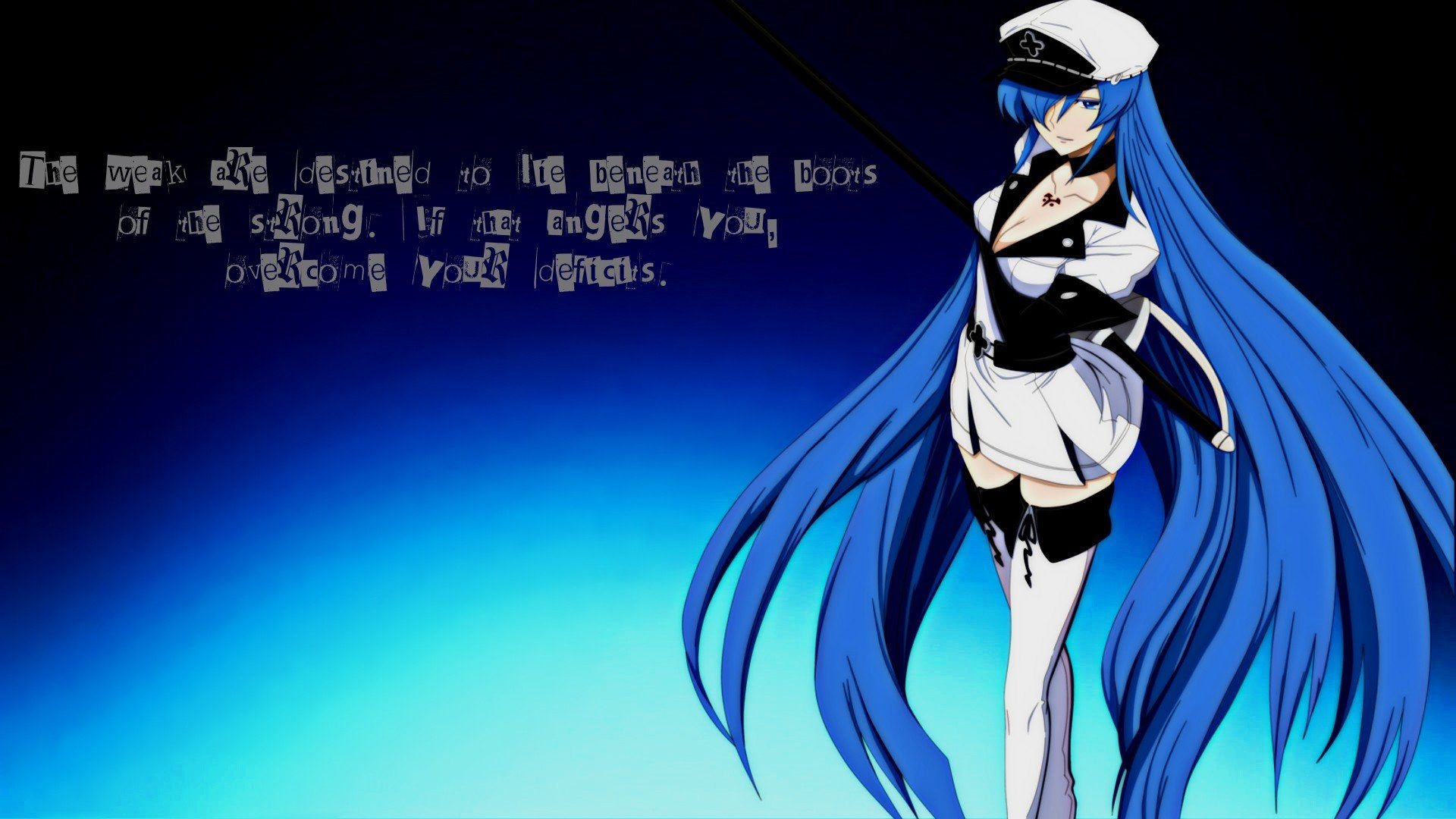 1920x1080 blue, Anime girls, Anime, Akame ga Kill!, Esdeath Wallpaper HD / Desktop and Mobile Background, Desktop