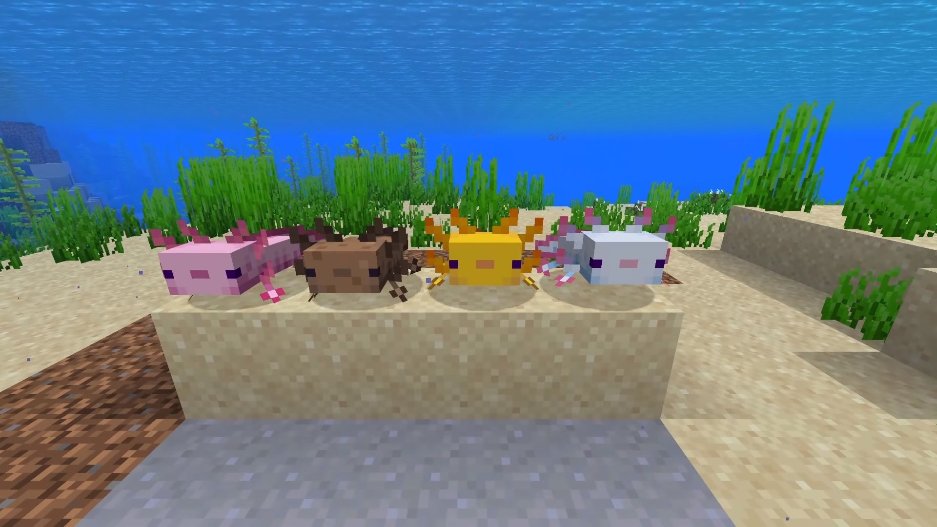 1920x1080 Minecraft's new snapshot features some very good axolotls, Desktop