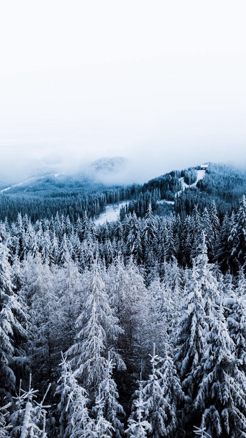 940x1670 Download wallpaper  winter, trees, fog, snow, aerial, Phone