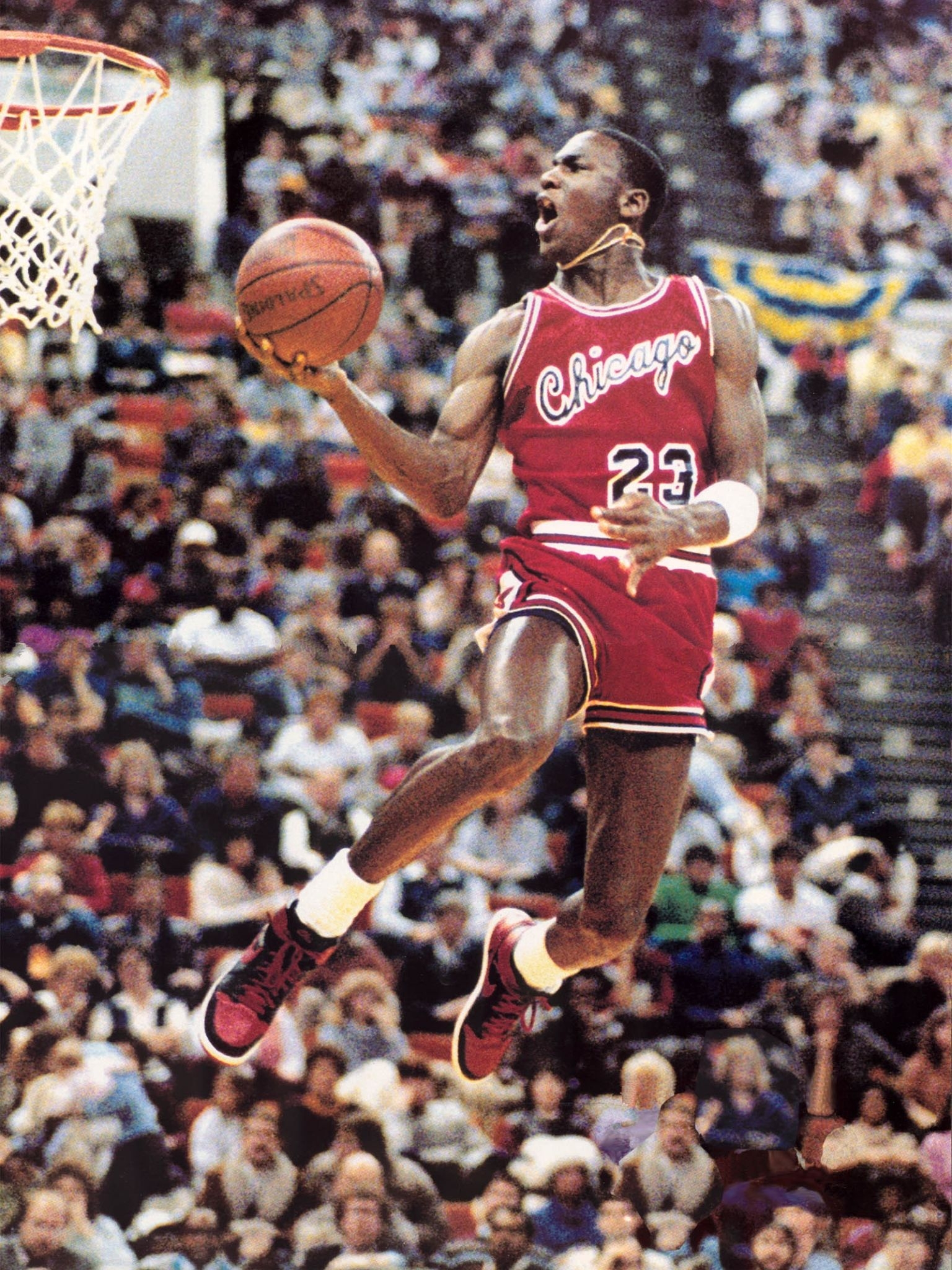 1540x2050 Free download Michael Jordan Wallpaper Dunk - 1600x2155, Phone