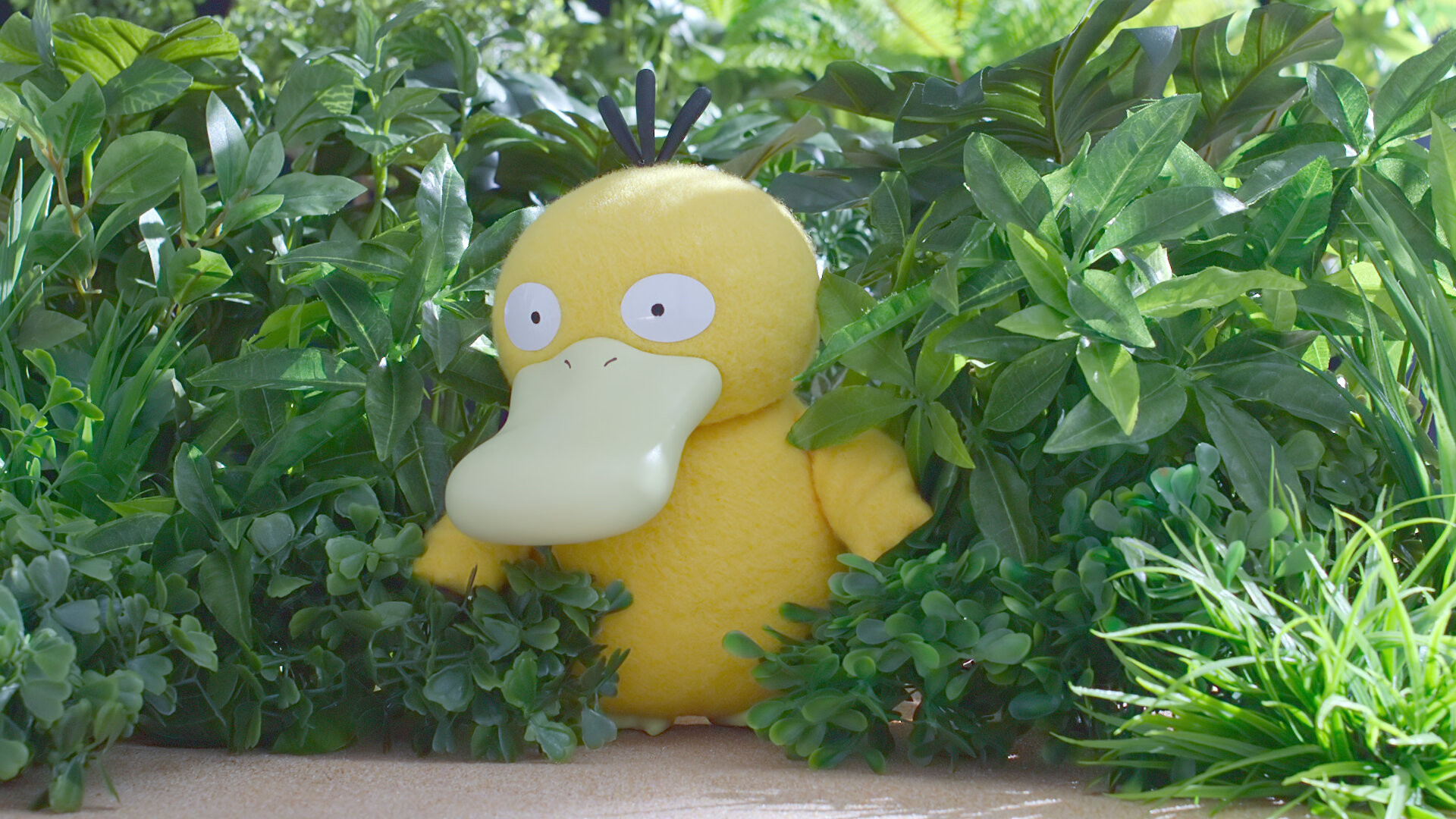 1920x1080 What's on Your Mind, Psyduck?émon, Desktop