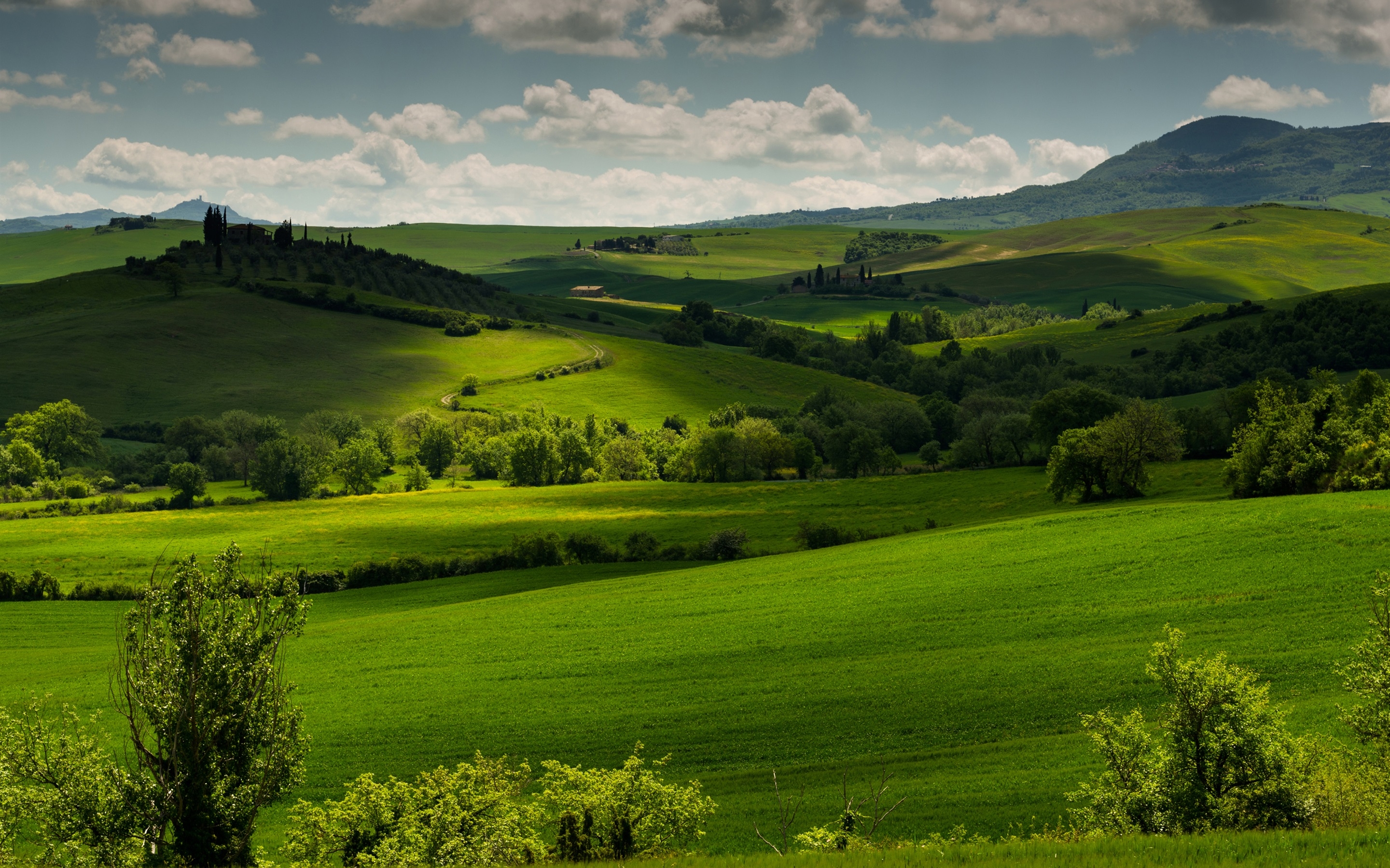 2880x1800 Pienza, Tuscany, Italy, spring scenery, fields, trees, morning, fog, Desktop