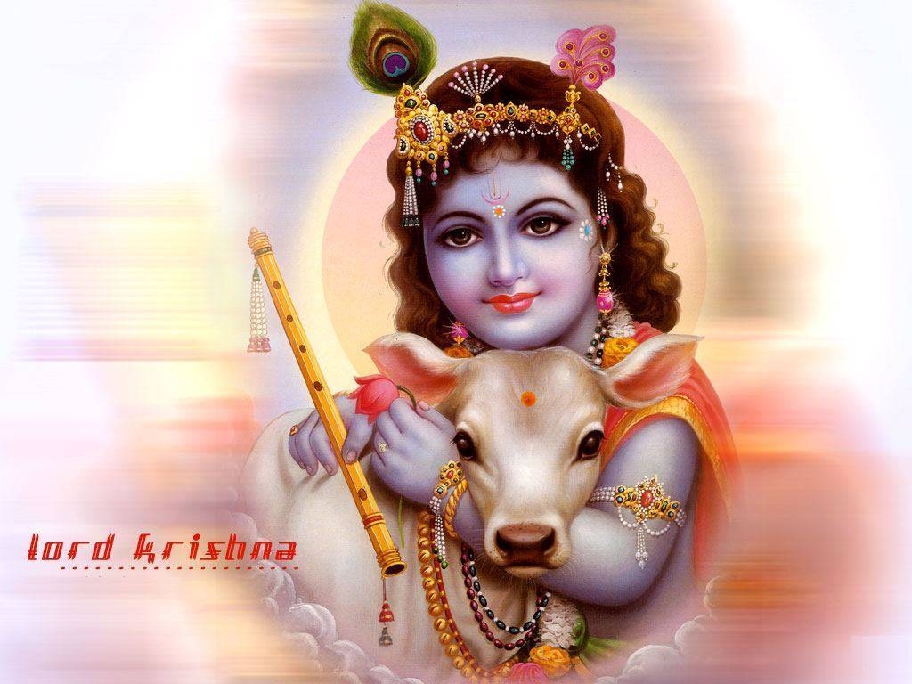 1030x770 God Krishna HD Wallpaper. Lord Krishna. Latest Desktop Wallpaper, Desktop