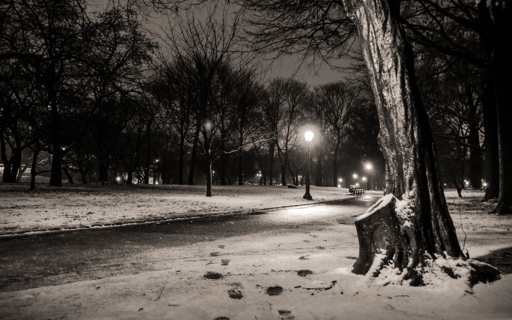 1680x1050 Free download black and white nature snow trees dark night lights, Desktop