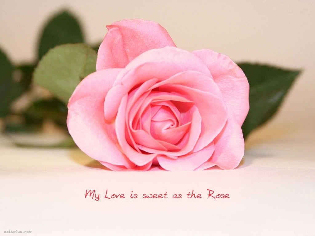 1030x770 Sweet Love Quotes Wallpaper To Say My Love Is Sweet As Flower Desktop Background, Desktop