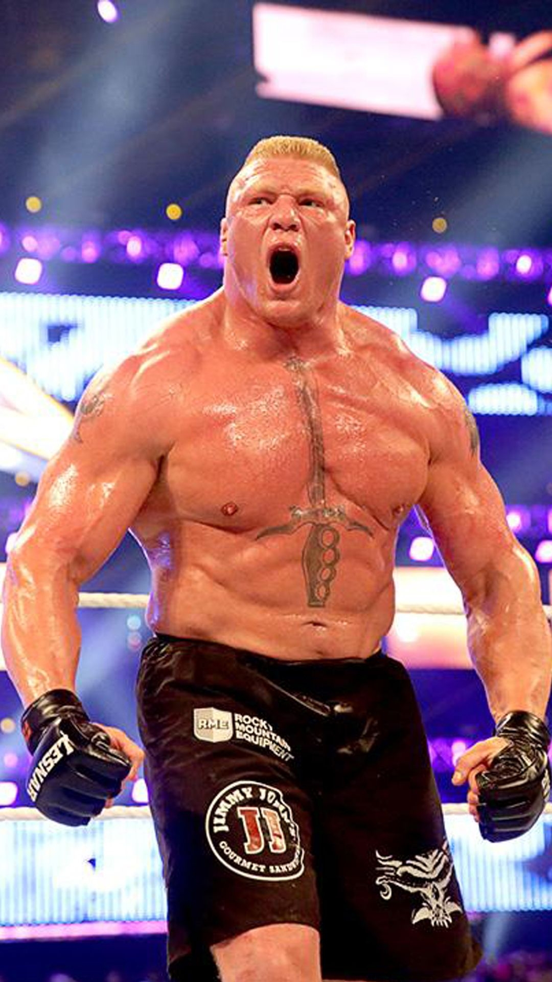 1080x1920 Brock Lesnar HD Pic, Phone