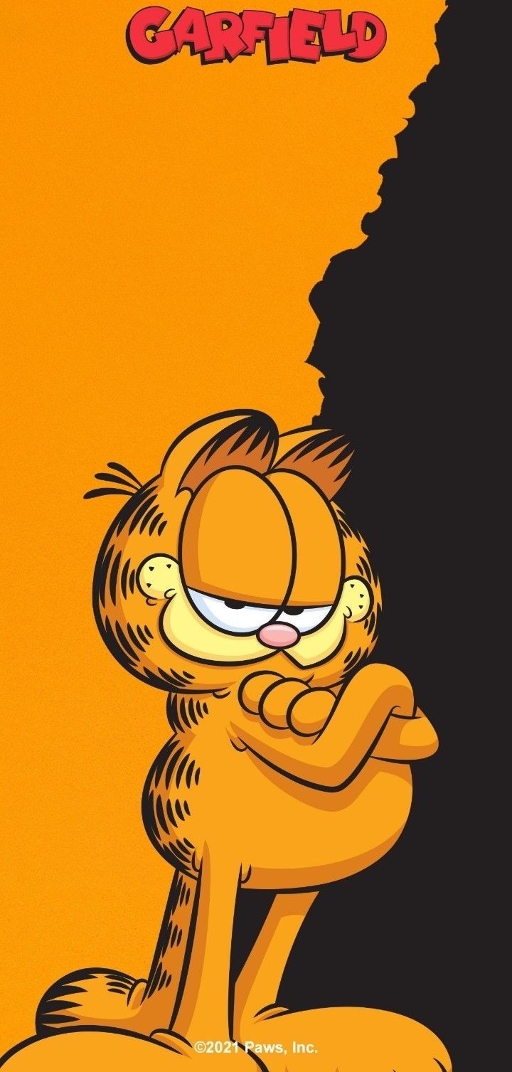 720x1510 Garfield Wallpaper for your Phone, Phone