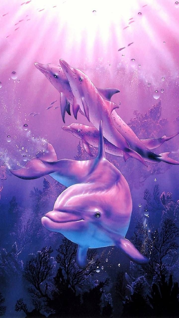 720x1280 Pink dolphin wallpaper, Phone