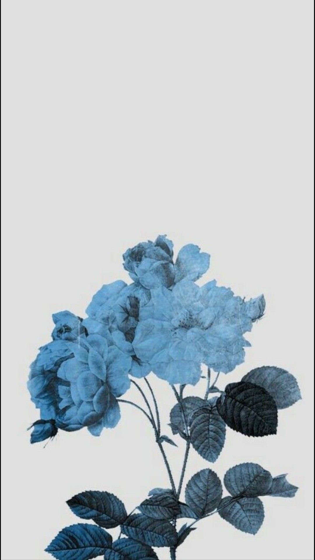 1080x1920 Blue Aesthetic Flower Wallpaper Free Blue Aesthetic Flower Background, Phone