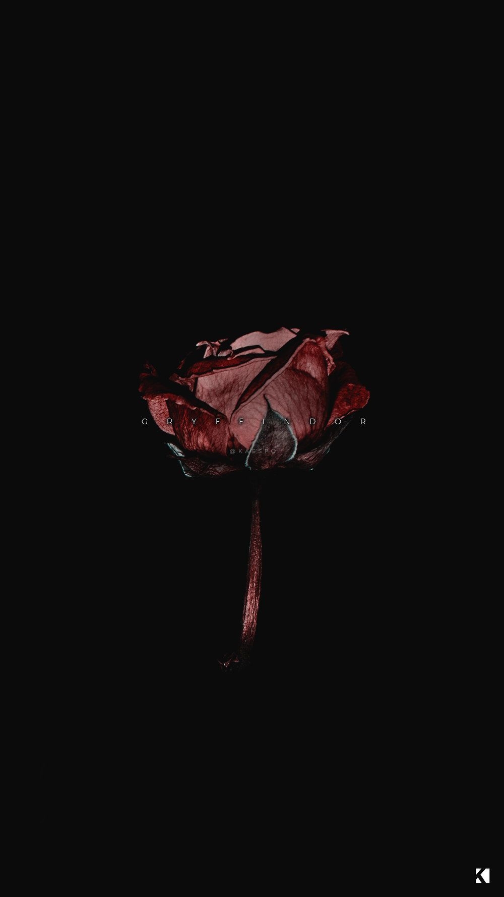 1000x1780 Dark Roses Aesthetic Wallpaper, Phone