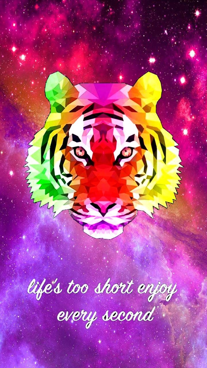 720x1280 Galaxy tiger wallpaper, Phone