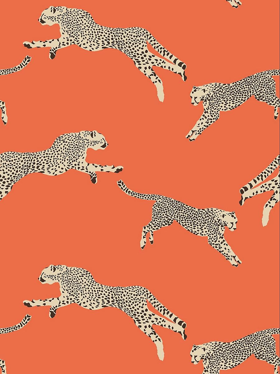 900x1200 Scalamandre Leaping Cheetah Clementine Wallpaper, Phone