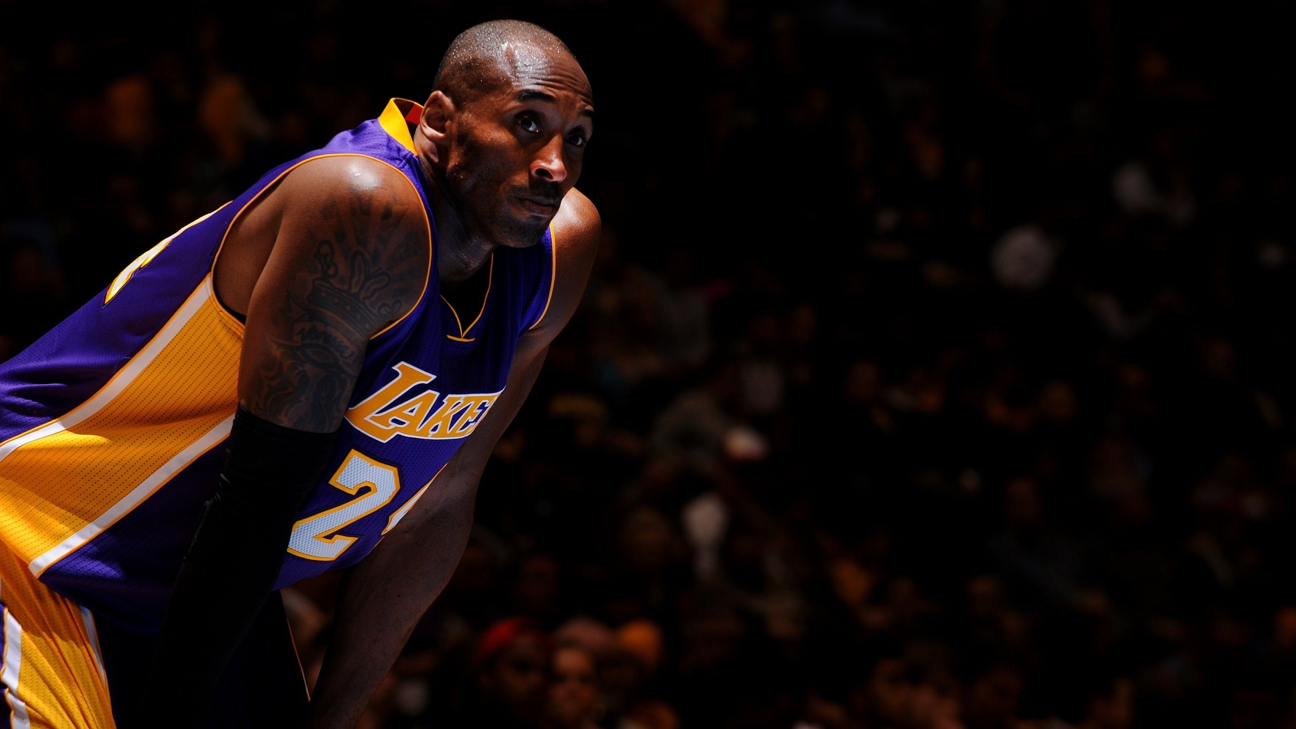 2560x1440 Wallpaper NBA, Kobe Bryant, Best Basketball Players of Los Angeles Lakers, basketball player, Shooting guard, Sport, Desktop