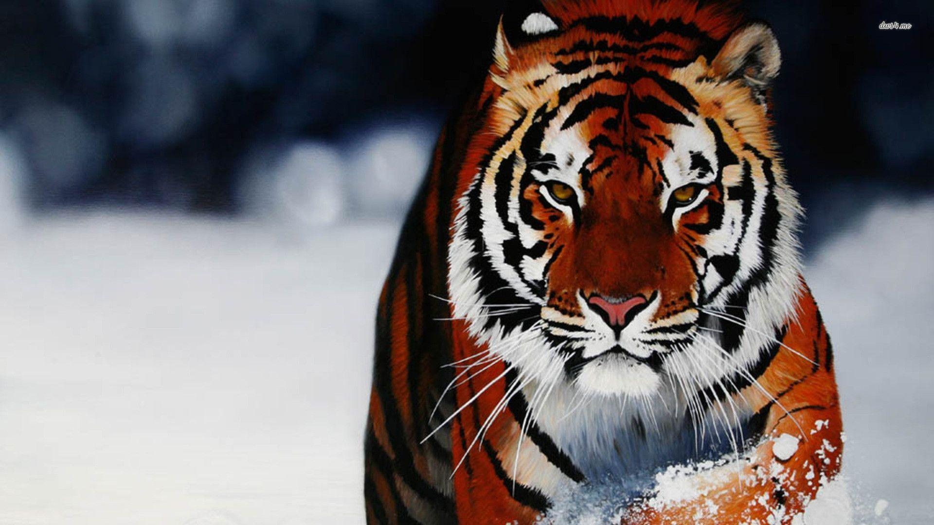 1920x1080 bengal tigers wallpaper Search Engine, Desktop